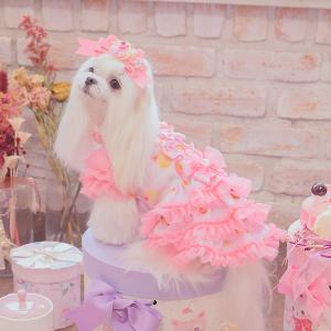 犬 犬服 秋冬服 ドックウェア ワンピース ス...の詳細画像2