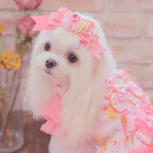 犬 犬服 秋冬服 ドックウェア ワンピース ス...の詳細画像3