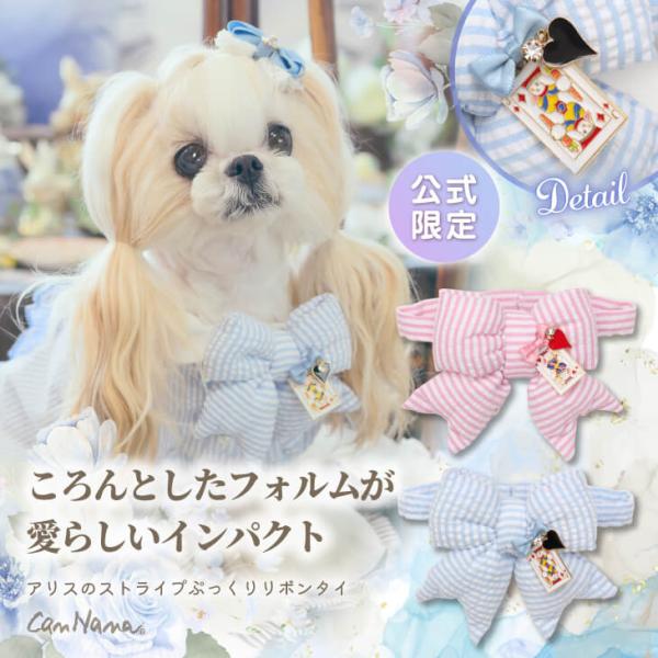 リボンタイ ドッグアクセサリー 不思議の国のアリス きゃんナナ ブランド コスプレ 小型犬 撮影会 ...