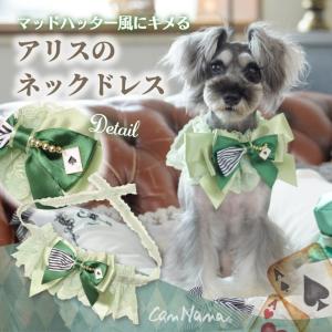 犬 服 犬服 ブランドセレブ 小型犬 シーズ トイプードル チワワ アリス グリーン アクセサリー リボン バレッタ ギフト プレゼント｜cannanaonline