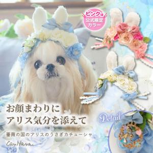 カチューシャ ドッグアクセサリー 不思議の国のアリス きゃんナナ ブランド コスプレ 小型犬 撮影会 フリフリ ギフト 犬 HD-036