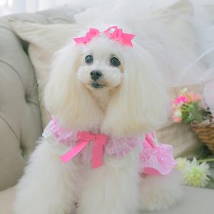 犬 アクセサリー バレッタ リボン ミニ 姫リ...の詳細画像1