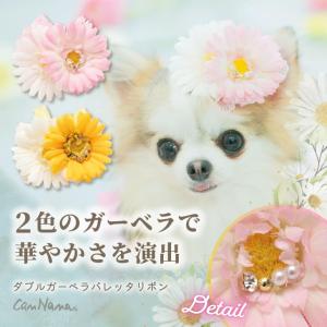 犬 アクセサリー 春 角度一定スタンド式 ダブルガーベラバレッタリボン ヘアアクセ イースター ガーベラ ギフト プレゼント 小型犬 撮影 イエロー ピンク LB-299｜公式きゃんナナオンラインショップ