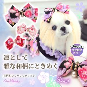 公式きゃんナナオンラインショップ - Yahoo!ショッピング