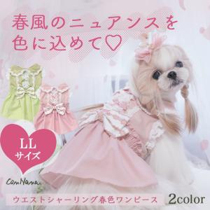 犬 服 犬服 ワンピース 春夏  レース リボン フリル 小型犬 シーズー トイプードル チワワ 犬の服 ブランド セレブ｜cannanaonline