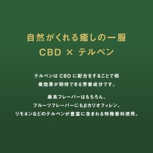 CBD 87% リキッド 一体型ベイプペン 1...の詳細画像5