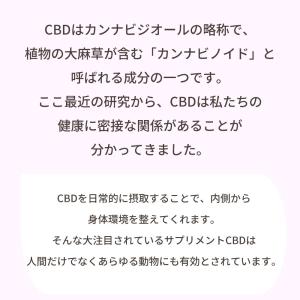 CBDオイル ペット用 10ml 1.2% 猫...の詳細画像3