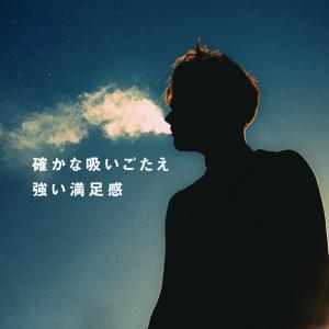 CBN 高濃度 リキッド 45% カートリッジ...の詳細画像3