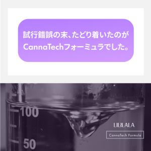 CBN オイル 20% CBN 2000mg ...の詳細画像4