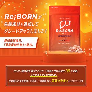 ＼酢酸菌酵素 追加/ 高吸収 クルクミン サプ...の詳細画像1