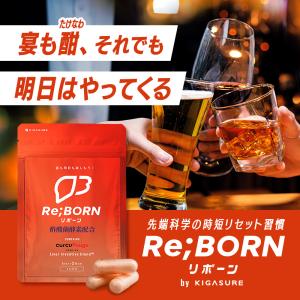＼酢酸菌酵素 追加/ 高吸収 クルクミン サプ...の詳細画像2