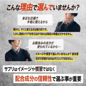 ＼酢酸菌酵素 追加/ 高吸収 クルクミン サプ...の詳細画像4