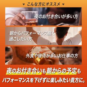 ＼酢酸菌酵素 追加/ 高吸収 クルクミン サプ...の詳細画像3