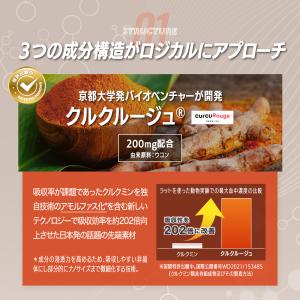 ＼酢酸菌酵素 追加/ 高吸収 クルクミン サプ...の詳細画像5