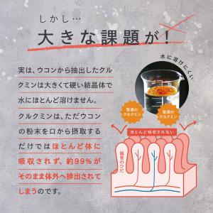 高吸収型 クルクミン クルクルージュ サプリメ...の詳細画像3