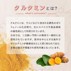 高吸収型 クルクミン クルクルージュ サプリメ...の詳細画像2