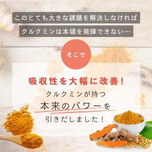 高吸収型 クルクミン クルクルージュ サプリメ...の詳細画像4