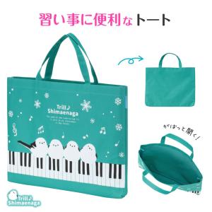 レッスンバッグ Happy days （ マチ付き 女の子 手提げ かばん 絵本