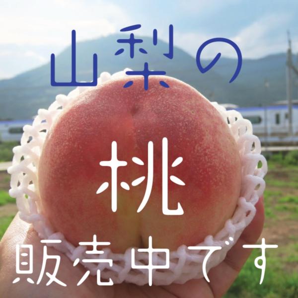 もも5個入り　ご家庭用訳あり品　山梨の桃