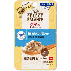 セレクトバランスPlus 鶏挽き肉スープ仕立て むね肉＆レバー アダルト/1才以上の成犬用 40g