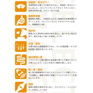 (国産おやつ&おまけ付き)セレクトバランス ス...の詳細画像1