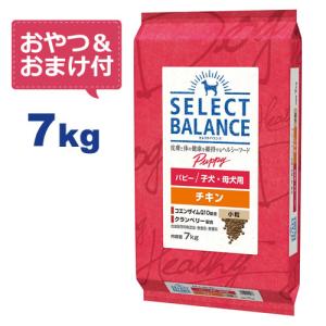 （国産おやつ＆おまけ付き）セレクトバランス パピー チキン 小粒 7kg　子犬・母犬用