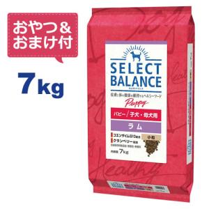 SELECT BALANCE （国産おやつ＆おまけ付き）セレクトバランス