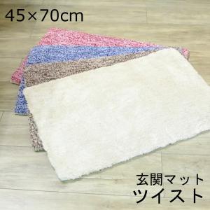 ツイスト 玄関マット ミシンミックス 45×70...の商品画像