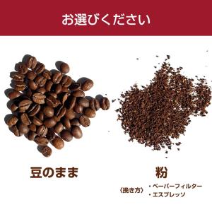 CAPITAL エメラルドマウンテンブレンド ...の詳細画像2