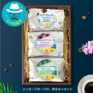 LION COFFEE（ライオンコーヒー） 業務用 大容量 24oz 680g バニラ