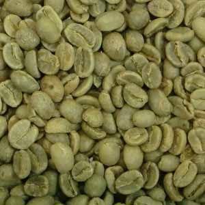 CAPITAL コーヒー生豆 ブルーマウンテンNo.1 ジャマイカ産 100g 袋 【キャピタルコーヒー/CAPITAL】｜capital-coffee