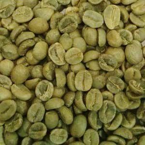 CAPITAL コーヒー生豆 ブラジル サントスNo.2 ブラジル産 100g 袋 【キャピタルコーヒー/CAPITAL】｜capital-coffee