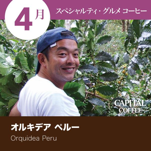 4月のスペシャルティ・グルメコーヒー オルキデア ペルー 焙煎珈琲豆(粉または豆を選べます) 200...