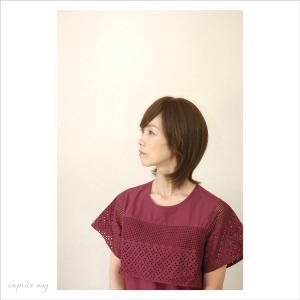 人毛ウィッグ 人毛100% レディース 自然 ...の詳細画像3