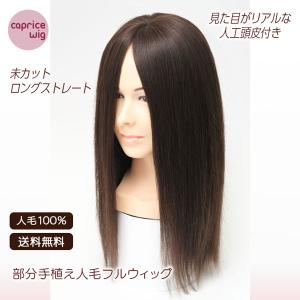 人毛100％ ウィッグ オールマイティに使えるナチュラルストレート
