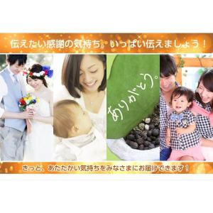 今治タオル ギフト 半額 カタログギフト 詰め...の詳細画像5