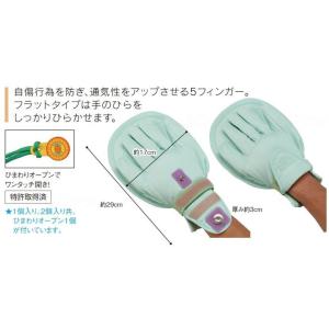 大阪エンゼル プライムフラットひらい手(2個入...の詳細画像1