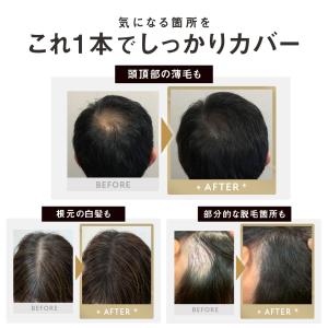 白髪かくし パウダー 白髪隠し 薄毛かくし 白...の詳細画像3