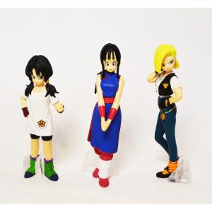 HGドラゴンボール Another ビーデル ...の詳細画像1