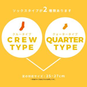 ラインソックス 靴下 3足セット 3足 フルー...の詳細画像3