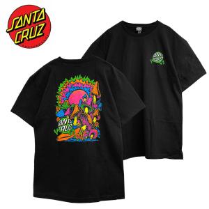 Capsule Santa Cruz サンタクルーズ P T Yahoo ショッピング
