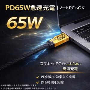 4in1 充電ケーブル PD65W対応 急速充...の詳細画像2