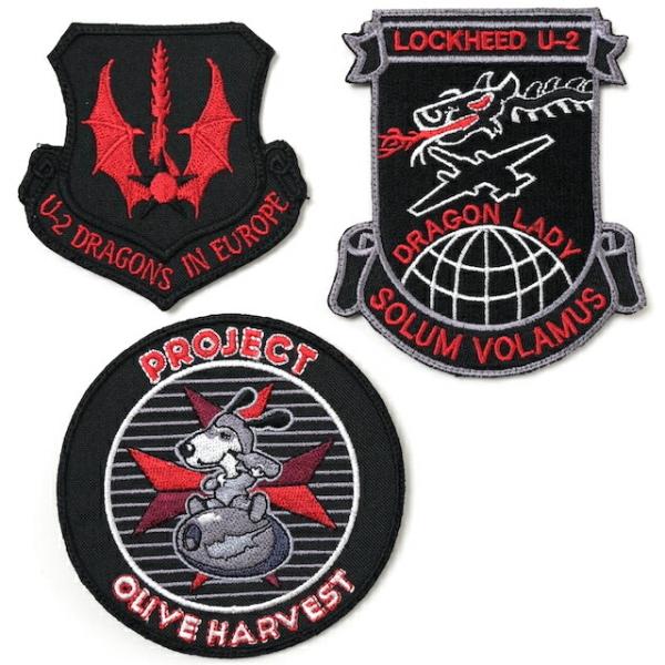 Military Patch（ミリタリーパッチ）99TH RECONNAISSANCE SQUADR...