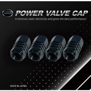 燃費向上グッズ レプトンハイパーバルブキャップDCT-X 車 トルクアップ