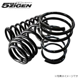 5ZIGEN エクストレイル DNT31 アップサス 1台分 5次元 5G-COIL-UP 