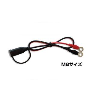 CTEK（シーテック） WCBC12 バッテリーチャージャーバックアップ