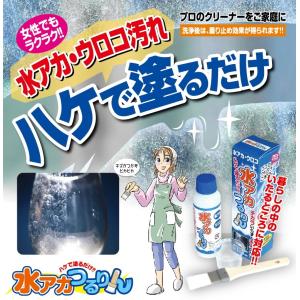 刷毛で塗って落とす強力水アカ除去剤 水アカつるりん