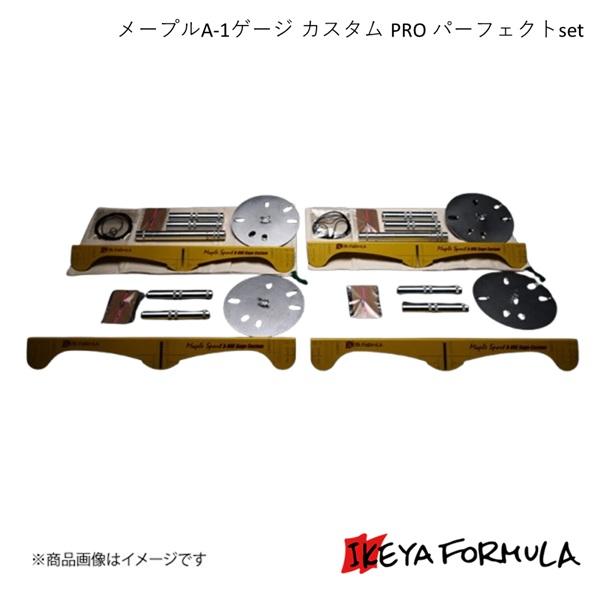 IKEYA FORMULA イケヤフォーミュラ メープルA-1ゲージ カスタム PRO パーフェクト...