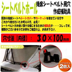 シートベルトホール 普通車用 縦2列タイプ 2...の詳細画像1