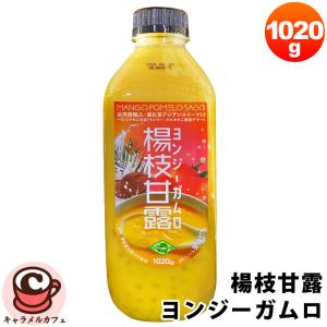 クール便 フルッタフルッタ 楊枝甘露 ヨンジーガムロ 49269 マンゴー ココナッツミルク タピオカ スイーツ 台湾 アジアンスイーツ 大容量 大量 コストコ 食品